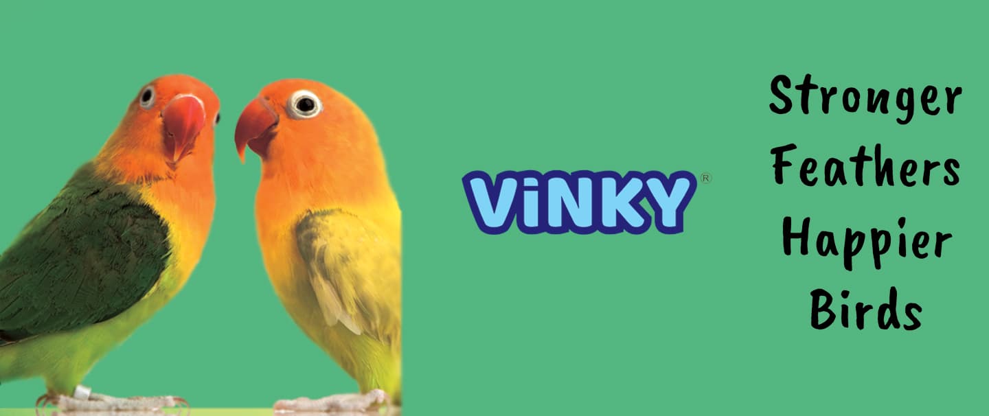 Vinky