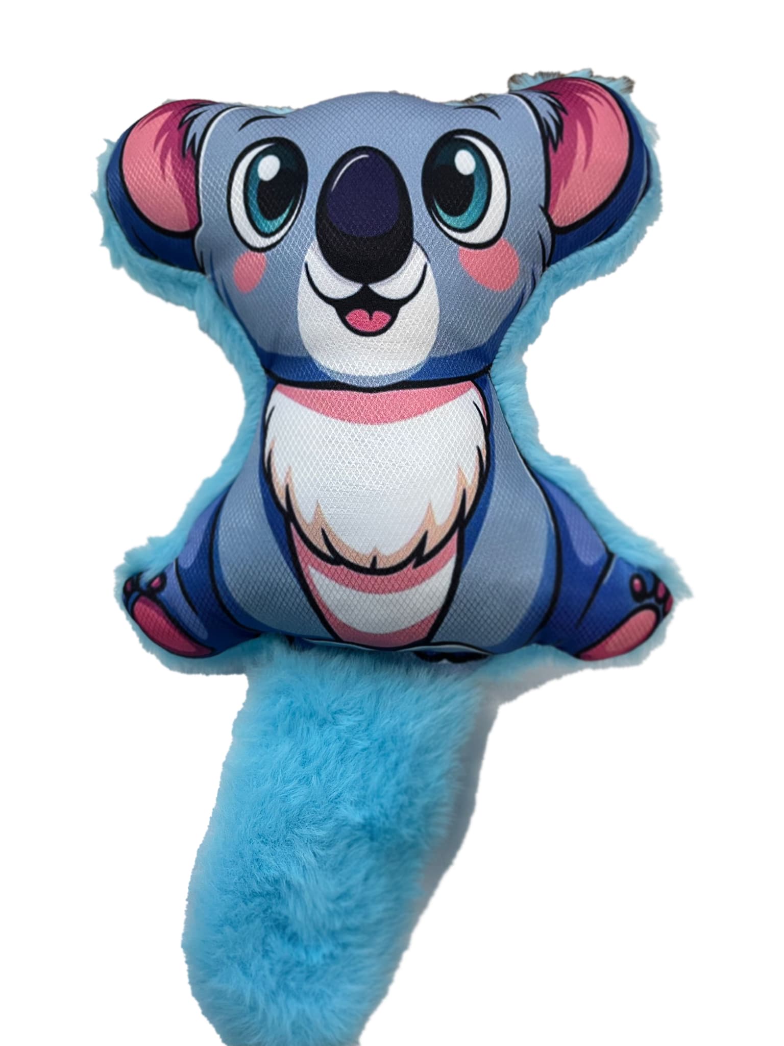 Koala thumbnail 3